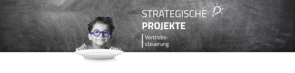 Vertriebssteuerung